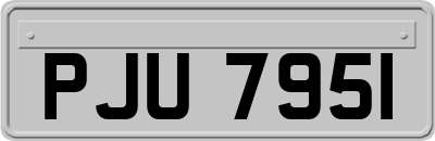 PJU7951
