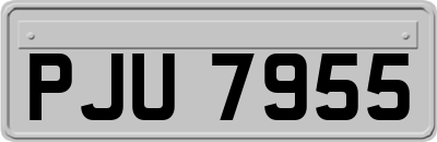 PJU7955