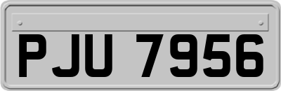 PJU7956