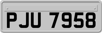 PJU7958