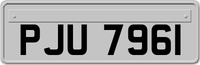 PJU7961