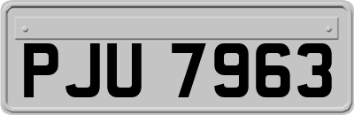 PJU7963