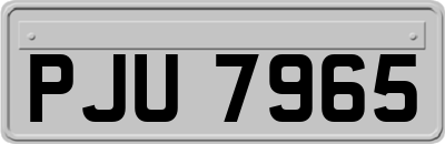 PJU7965