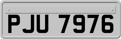 PJU7976