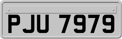 PJU7979