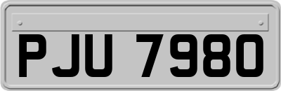 PJU7980
