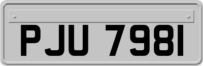 PJU7981