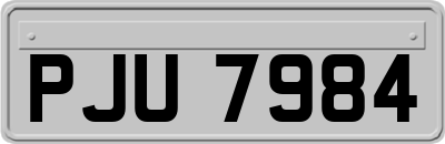 PJU7984