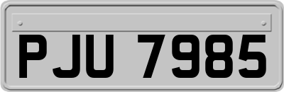 PJU7985