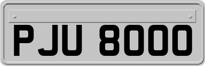 PJU8000