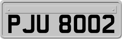 PJU8002