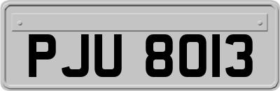 PJU8013
