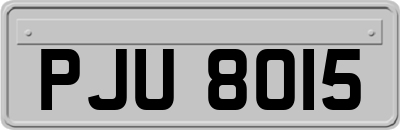 PJU8015