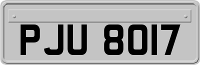 PJU8017