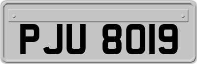 PJU8019
