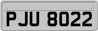 PJU8022