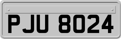 PJU8024