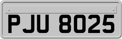 PJU8025