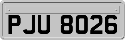PJU8026