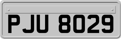 PJU8029