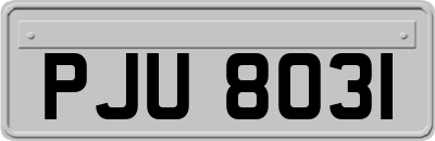 PJU8031
