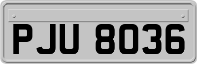 PJU8036