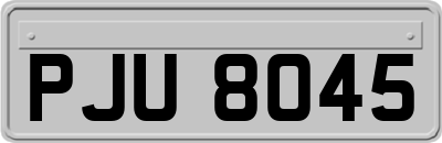PJU8045