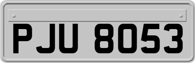 PJU8053