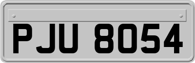 PJU8054