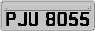 PJU8055