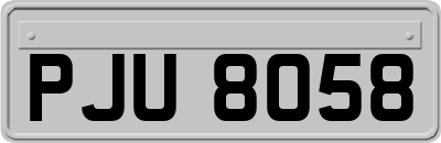 PJU8058