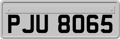 PJU8065