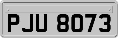 PJU8073