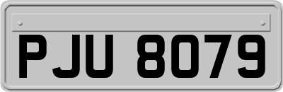 PJU8079