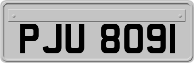 PJU8091