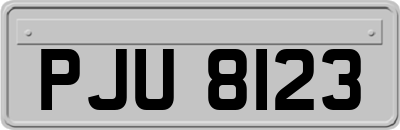 PJU8123