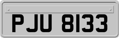 PJU8133