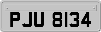 PJU8134