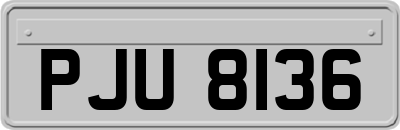 PJU8136