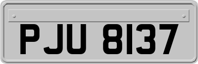 PJU8137