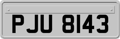 PJU8143