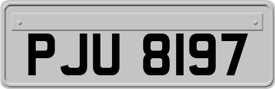 PJU8197