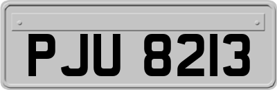 PJU8213