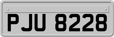 PJU8228