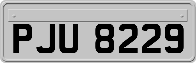 PJU8229