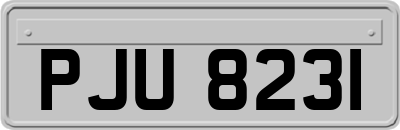 PJU8231