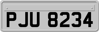 PJU8234