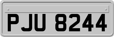 PJU8244