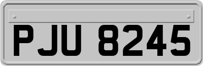 PJU8245