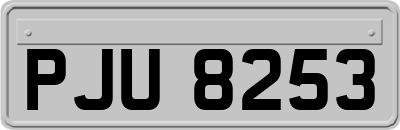 PJU8253
